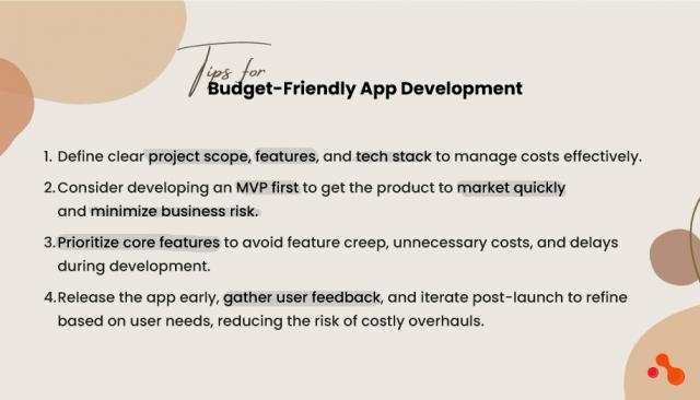 Tips for Budget-Friendly App Development: Maximizing Efficiency cover picture