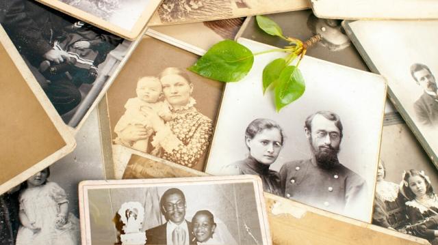 Which Genealogy Service Is the Best? cover picture
