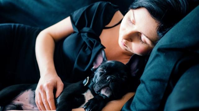 Sleep Therapy Techniques for Insomnia and Mental Health cover picture