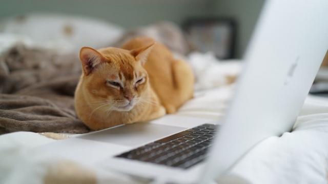 Deciding Which Blog Posts Can Be Repurposed cover picture