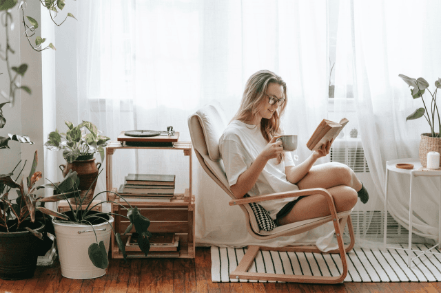 How To Use Indoor Plants To Enhance Your Memory cover picture