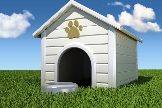 Unleashing Freedom: The Ultimate Guide to Outdoor Dog Kennels cover picture
