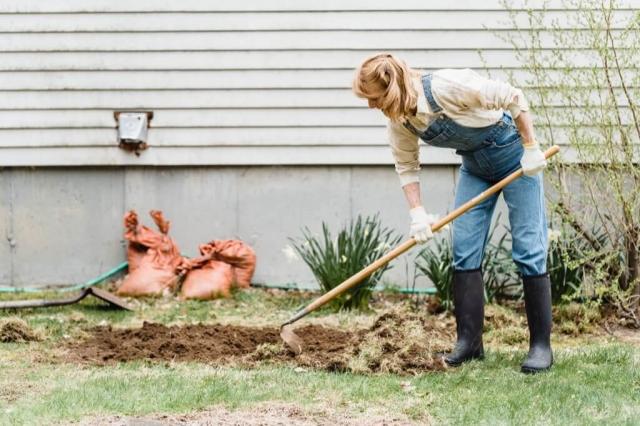 Maximize Your Garden's Potential with Waste Services cover picture