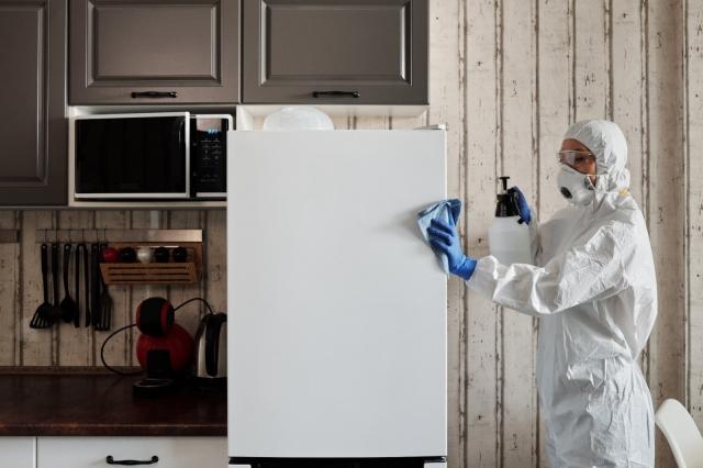 A Guide to Keeping Mould Out Of Your Property cover picture