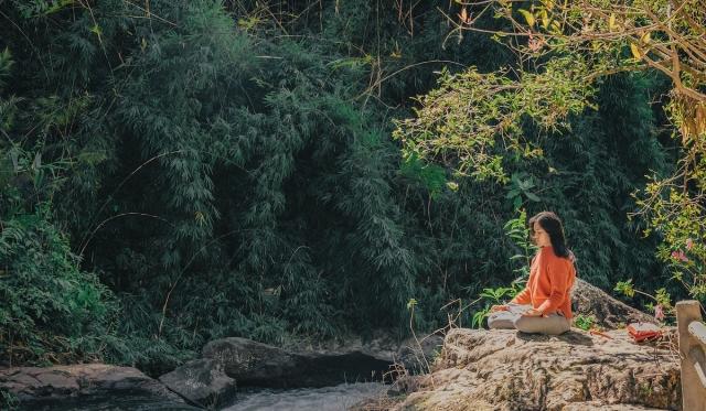 7 Effective Ways to Help You Decrease Stress Levels cover picture