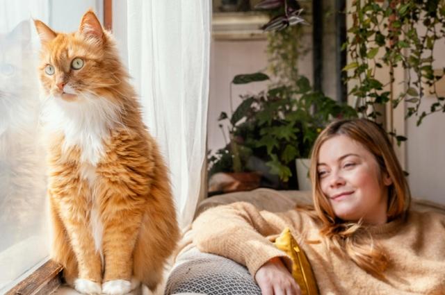 Cats in Art: Our Favorite Friends as an Inspiration of Great Artists cover picture