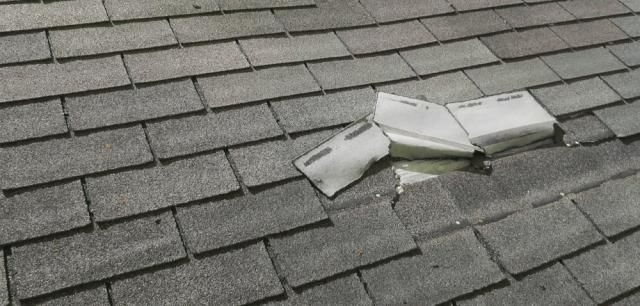 Facts You Should Know About Single-Ply Roofing: Dispelling Common Myths cover picture