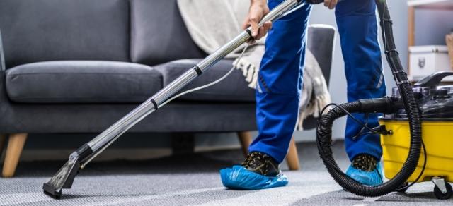 DIY Carpet Cleaning: A 10-Step Guide to Refreshing Your Carpets at Home cover picture