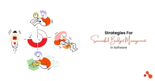 Strategies For Successful Budget Management in Software cover picture