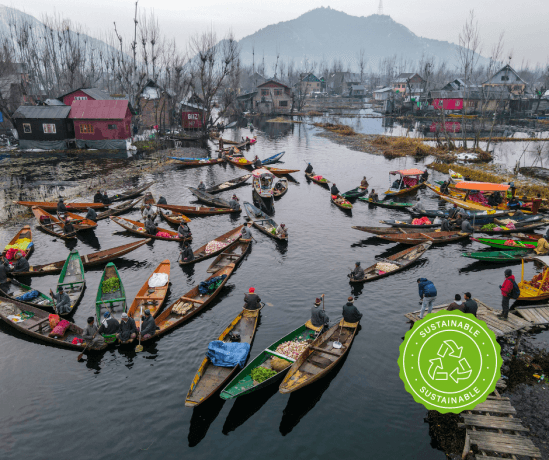 Eco-friendly Travel in Kashmir: A Guide to Sustainable Exploration cover picture