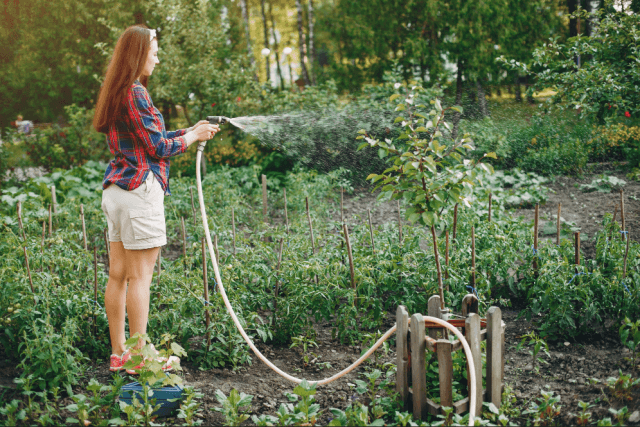 12 Must-Have Garden Tools for Beginners cover picture