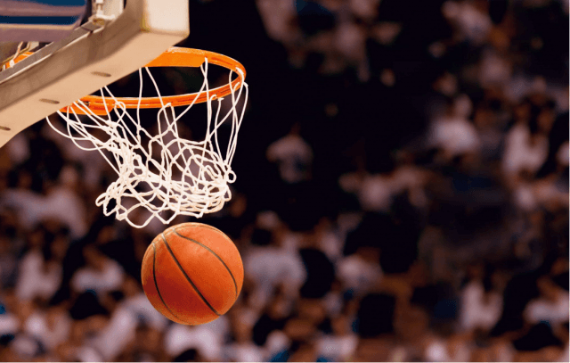 Is Sue Bird Related to Larry Bird? cover picture