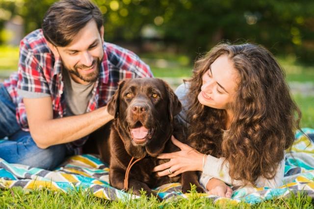 Signs You're Ready to Add an Animal to Your Family cover picture