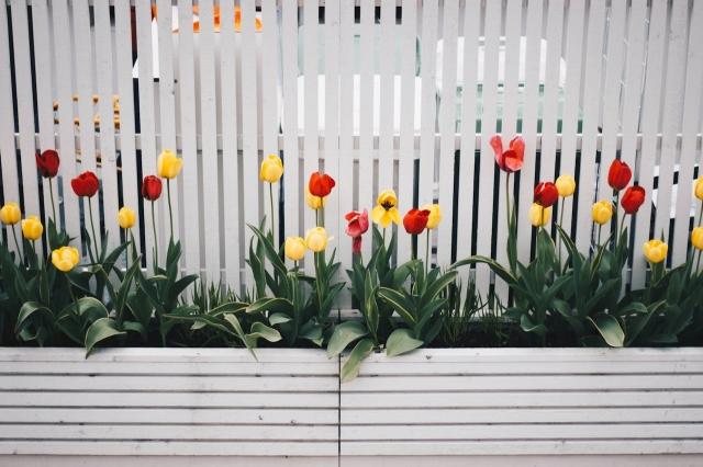 Elevate Your Outdoor Space: Long Rectangular Modern Planters for Contemporary Gardens cover picture