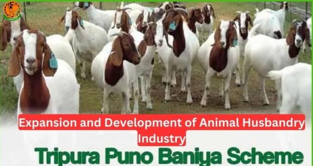Tripura Puno Baniya Scheme 2024 Registration, Benefits, Eligibility cover picture
