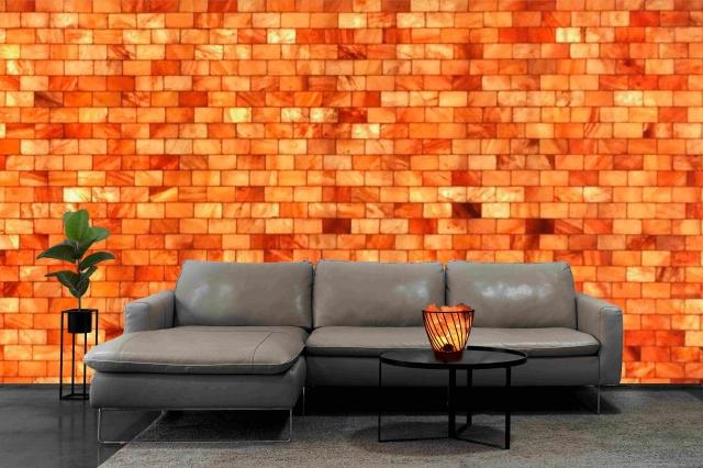 How Do You Get Extra Benefits to Buy Wholesale Salt Bricks/Blocks? cover picture