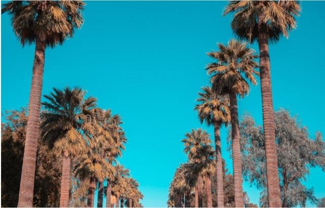 Arizona's Top Tourist Attractions cover picture