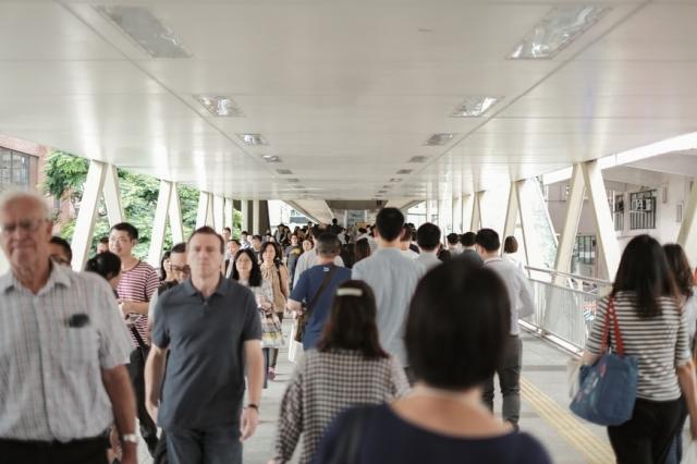 Immigration and economy; the impact of immigration on the labor market? cover picture
