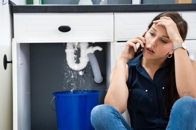 Trace and Access: Detecting and Fixing Plumbing Leaks cover picture