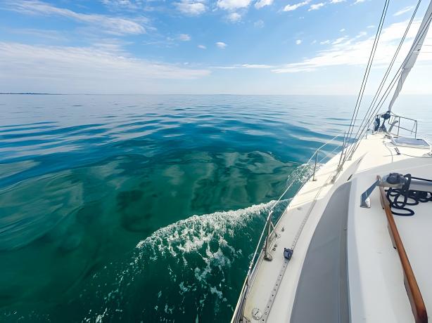 How Corporate Boat Tours Strengthen Teams and Professional Bonds Sail Away with Synergy cover picture