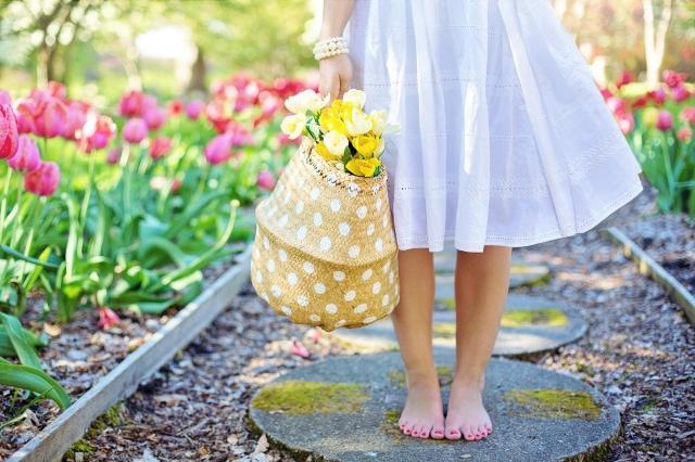 How To Get Started With Gardening cover picture