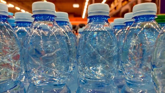 Private Label Water Bottles: Elevate Your Brand Today cover picture
