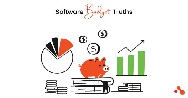 The Truths Behind Software Budget Mismanagement cover picture