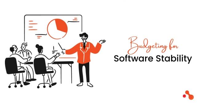 Ensure Stability With a Software Budget Control Mindset cover picture