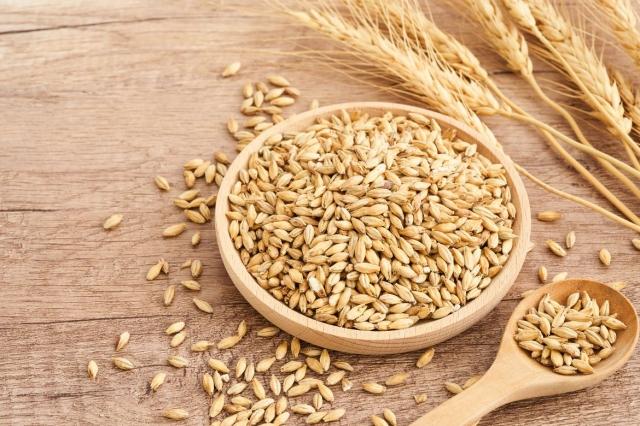 Malt Extract in Beer Styles cover picture