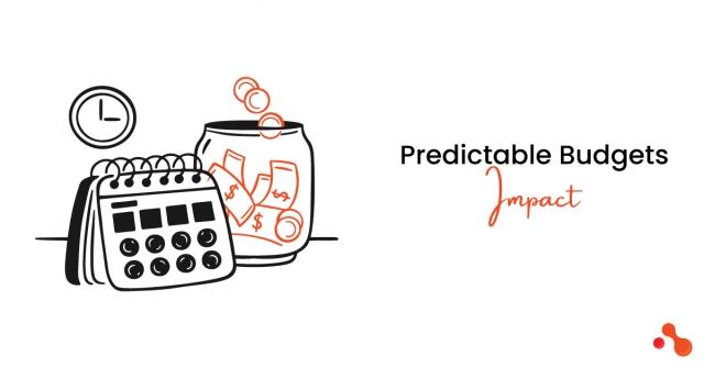 How Predictable Budgets Impact Software Development Process cover picture