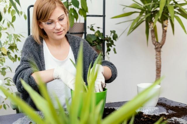 Greening Your Space: Sustainable Landscaping Practices for a Greener Future cover picture