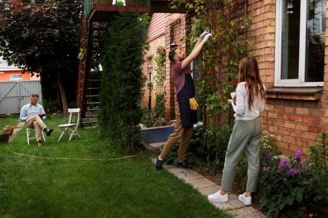 Unlocking Your Yard's Potential: The Power of Fertilization cover picture