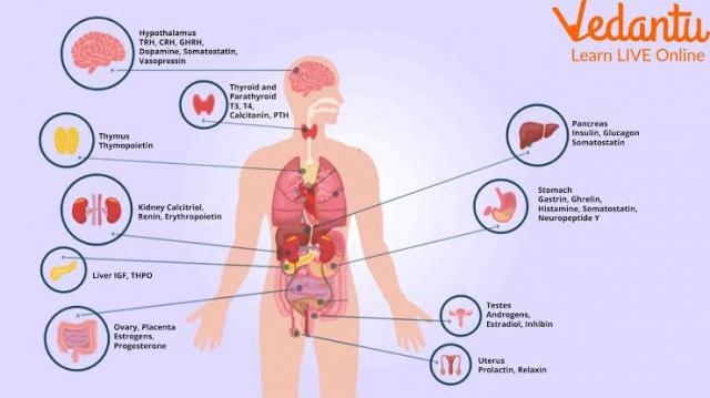 10 Things Your Body Is Trying to Tell You About Your Hormones cover picture