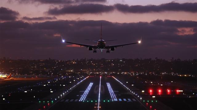 How does Florida's diverse aviation categories boost business variety? cover picture