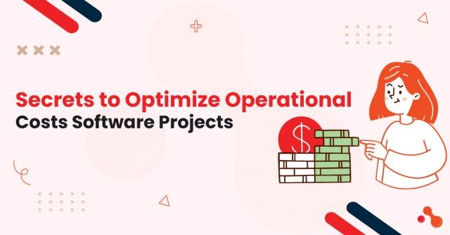 Secrets to Optimize Operational Costs Software Projects cover picture
