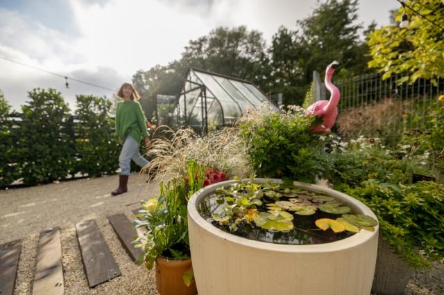 Kainos Garden Shop and Landscaping Services cover picture