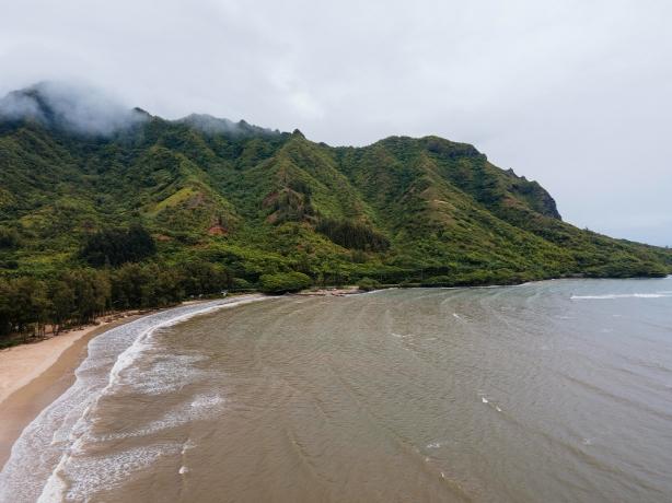 Best Spots to Learn to Surf in Hanalei Bay cover picture
