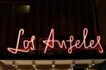 The Entrepreneur's Journey to Success in Los Angeles cover picture