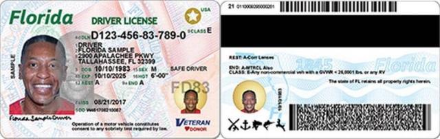 Understanding the Florida Driver's License Format: Key Information for Applicants cover picture