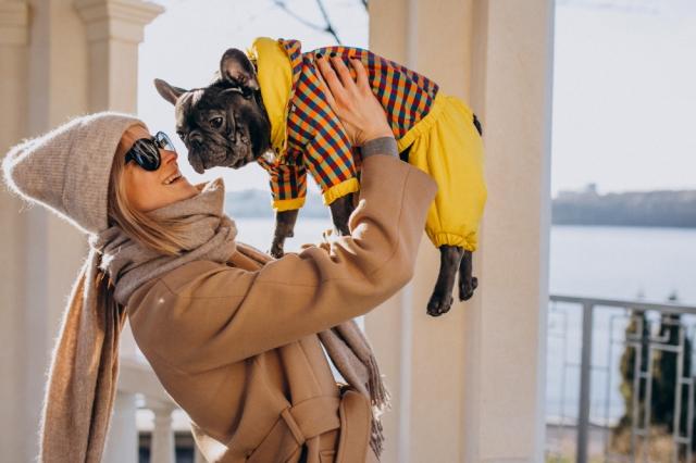 Holidays in the UK with Your Pets cover picture