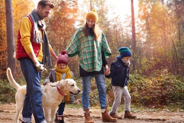 6 Destinations for a Rejuvenating Wildlife Holidays with Your Family cover picture