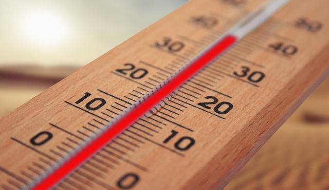 Reasons to Purchase Climate Controlled Storage Buildings cover picture
