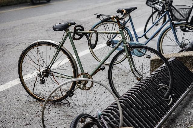 Empowering Columbus Cyclists: Your Guide to Safe Riding cover picture
