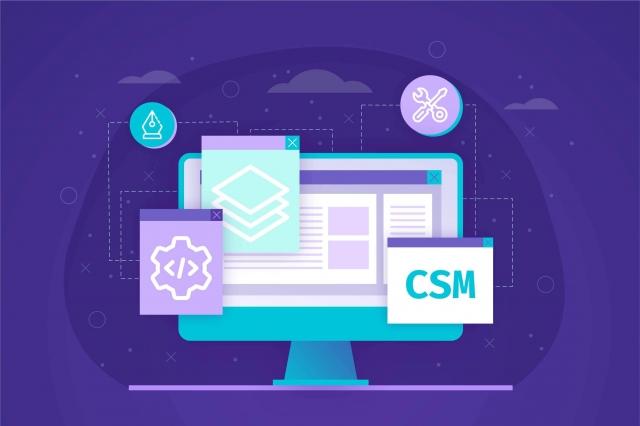 Top Custom Software Development in India: Hire Expert Prompt Engineers and Dedicated Developers cover picture