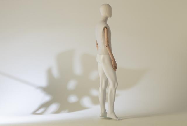Branded mannequins - choose quality cover picture