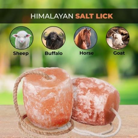 Composition of Salt Lick Blocks for Different Animal Species cover picture