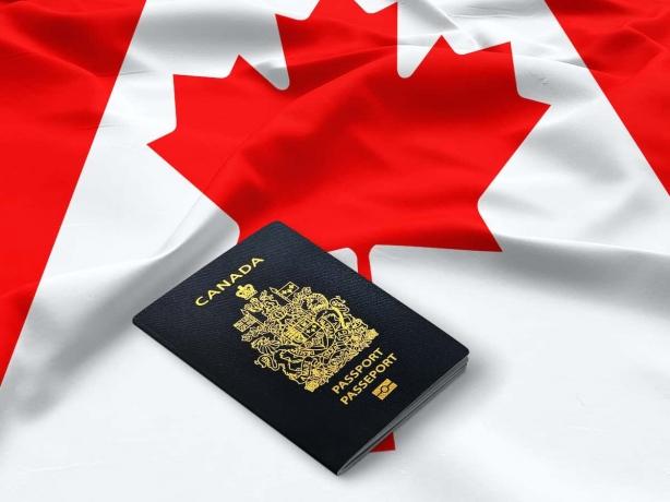 Immigration Consultants Calgary: Your Pathway to Canada cover picture
