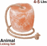 Factors Affecting the Composition of Salt Licking Blocks cover picture
