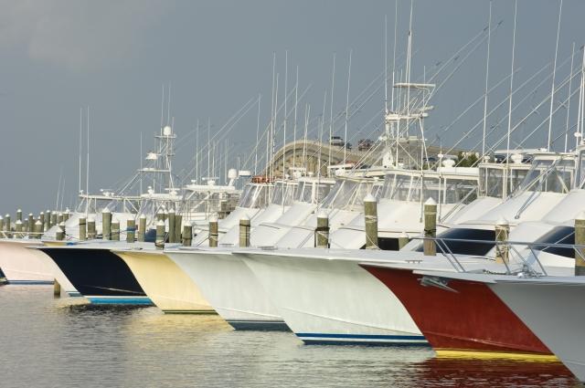 The Ultimate Guide to Outer Banks Fishing Charters cover picture