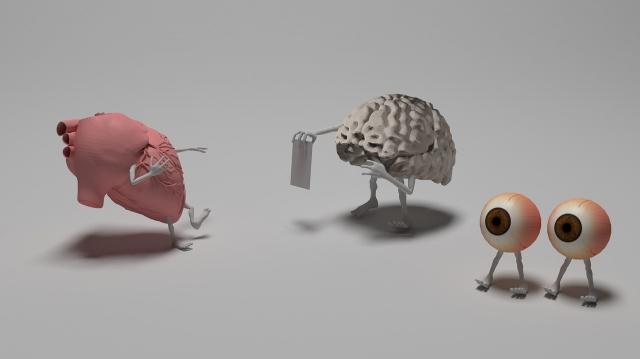 All About 3D Animation for Medical Animations cover picture